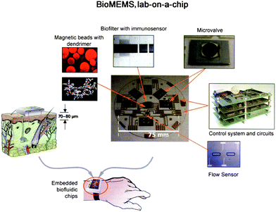 An example of a wrist type biosensor.101