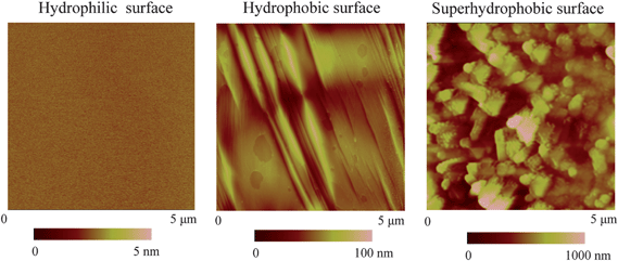 AFM images of hydrophilic, hydrophobic, and superhydrophobic surfaces in air.114,15