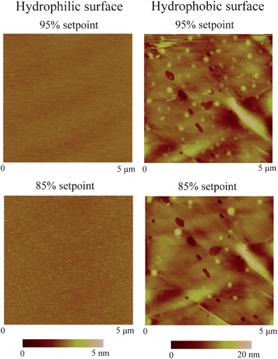 AFM images of hydrophilic and hydrophobic surfaces in DI water with 95% and 85% setpoint of free amplitude, corresponding to about 0.09 nN and 0.26 nN normal forces, respectively. Nanobubbles with a typical diameter of 150 nm are observed on the hydrophobic surface. No change is observed on hydrophilic surface between high and low load scanning. However, nanobubble coalescence is observed on the hydrophobic surface after high load scanning.114