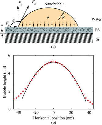 (a) Schematic of a nanobubble on the ultrathin PS film in water. The surface tension force Fst can be decomposed into perpendicular force Fp and horizontal force Fh. The inner pressure uniformly applies on the PS surface inside the nanobubble. (b) Cross section profile of a nanobubble marked by an arrow in Fig. 25a through apex of the nanobubble and corresponding least-square fit curves (solid) by fitting the profile as circular arcs.116