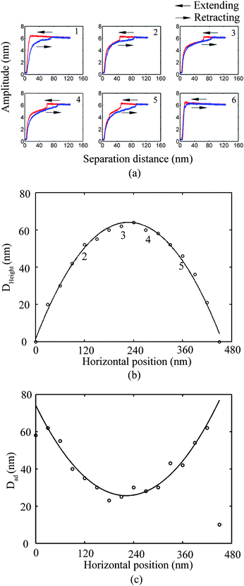 (a) Selected six curves (corresponding to points 1–6 in Fig. 30b) of amplitude as a function of separation distance along a scan line of a nanobubble. At locations 1 to 3, height of nanobubble increases and at locations 4–6, height of nanobubble decreases. (b) Height of nanobubble (Dheight) as a function of horizontal position along the scan line. The value first increases and then decreases following the profile of nanobubble. (c) The distance Dad with respect to each point of Fig. 30b. The value Dad decreases with increasing height of nanobubble (Dheight) along the scan line and vice versa.12