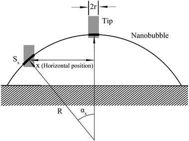 Schematic of a simplified cylindrical tip and the nanobubble at different positions of the nanobubble. In the figure, r is the radius of a cylindrical tip, R is the radius of nanobubble, Sx is the perimeter of the contact area. The perimeter of the contact area at the edge is larger than that close to the apex of the nanobubble.12