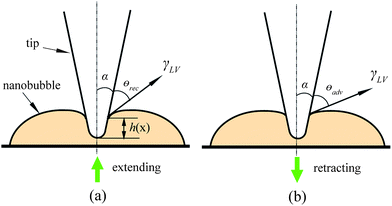 Schematic of tip–nanobubble interaction for (a) extending and (b) retracting movements. The angles α, θrec, and θadv represent half of the tip cone angle, receding contact angle, and advancing contact angle, respectively, and h(x) is the separation distance between three phase contact line and bottom of the tip.115