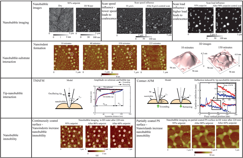 Summary of nanobubble study through aspects of nanobubble imaging, nanobubble–substrate interaction, tip–nanobubble interaction, and nanobubble immobility.