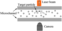 Schematic of PIV measurement of boundary condition in a microchannel. Optically traceable particles are distributed in the channel and brought with fluid flow. The particles in the interest area are illuminated by a laser beam, and the movement of the particles is monitored by a camera, through which the velocity field of fluid flow is observed.