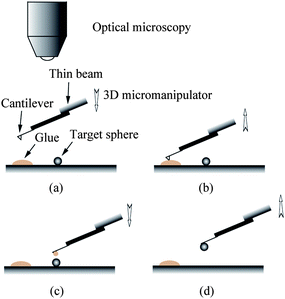 Procedure of gluing glass spheres at the end of AFM cantilevers: locating the glue (a), picking glue (b), locating the target glass sphere (c), gluing sphere and picking the probe up (d).