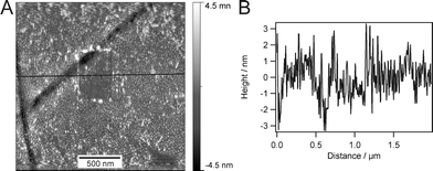 An AFM image (A), recorded in water, and corresponding cross section (B) of the covalently immobilized monolayer which was scratched with a hard cantilever. The two dark stripes result from cracks in the epoxy glue due to cutting the slide prior to monolayer transfer.