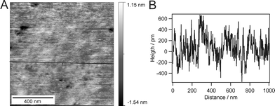 An AFM image of the intact bilayer after Langmuir-Schaefer transfer (A) and the corresponding cross section (B) shows homogenous transfer over an area of 1 μm2 with negligible defects.