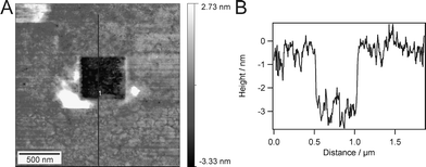 An AFM image after a scratching experiment (A) and a section through A along the indicated line (B).