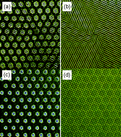 Complex, spiral actuation of the posts in the microflorets pattern induced by a chiral defect. (a): Dry state, (b): Dry to wet transition, (c) Wet to dry transition, (d) Wet state. Note a clear color change during the actuation. See ESI for the actuation movies.