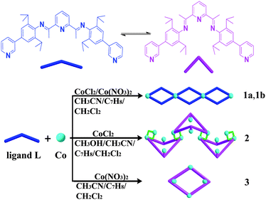 Solvent Directed Conformational Variation Of Co Ii Iii Complexes With A Diiminopyridine Ligand Crystengcomm Rsc Publishing