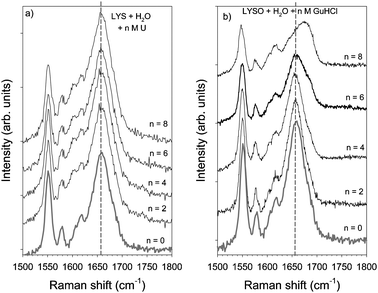 Influence Of Urea And Guanidine Hydrochloride On Lysozyme Stability And Thermal Denaturation A Correlation Between Activity Protein Dynamics And Conformational Changes Physical Chemistry Chemical Physics Rsc Publishing