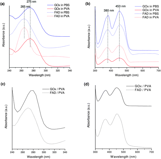 
            UV-vis spectra for GOx and FAD in PVA and in PBS solutions (a,b) and for GOx-PVA and FAD-PVA films cast on quartz slides (c,d) in different wavelength regions.