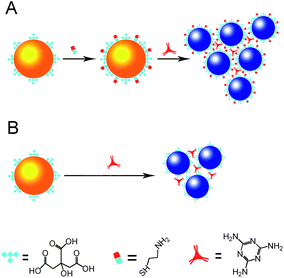 Colorimetric detection of melamine using cysteamine-modified (A) and unmodified (B) gold nanoparticles.