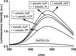 Effect of bio-phosphates on the luminescence of the reaction of RuPDO-Zn with AcP. 40 mmol L−1HEPES buffer of pH 7.4, 50 µmol L−1RuPDO, 0.5 mmol L−1Zn2+, 1 mmol L−1 of AcP and inorganic phosphate (Pi), pyrophosphate (PP), ATP, each, 60 min reaction at 37 °C (n = 4).