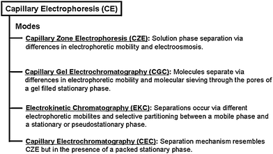 Classification of common capillary electrophoresis modes.
