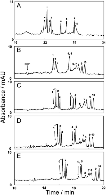 Evaluation of the separation of acidic and basic proteins in a DDAB coated capillary using 25 mM phosphate buffer. Separation A contained no Au@DDAB nanoparticles whereas separations B–E contained ∼4.5 nM Au@DDAM nanoparticles modified with (B) 0.01, (C) 0.05, (D) 0.07, and (E) 0.10% PEO. Peak identification: (1) α-chymotrypsinogen, (2) ribonuclease A, (3) trypsinogen, (4) cytochrome c, (5) lysozyme, (6) bovine serum albumin, (7) carbonic anhydrase, (8) ovalbumin, (9) myoglobin, and (10) α-lactalbumin (reprinted with permission from ref. 24, Copyright 2006, American Chemical Society).
