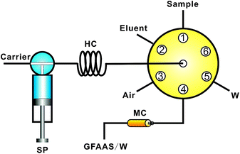 System for on-line selenium measurement system with TESM preconcentration mini-columns followed GFAAS detection. SP: syringe pump; HC: holding coil; MC: mini-column packed with 20–40 mesh TESM.