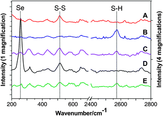 
            Raman spectra: (A) eggshell membrane (ESM); (B) TESM; (C) TESM after exposure to air for 1 month; (D) TESM after adsorption of Se(iv); (E) TESM after adsorption of Se(vi). For (D) and (E), the TESM was pre-treated with 200 mg L−1Se(iv) or Se(vi) solution (pH 5.8) under vigorous agitation for 60 min to facilitate adsorption.