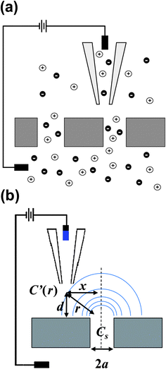 (a) Experimental setup for measurements described. A nanoporous membrane separates two chambers (upper and lower) of a diffusion cell with unequal ion concentrations. Local conductance variations established by ions emanating from pores in the membrane are measured viascanning ion conductance microscopy (SICM). (b) Schematic diagram of a SICM probe over a nanopore at a radial displacement of r away from the pore center, with a vertical displacement equal to d and a lateral displacement equal to x. Cs represents the concentration of electrolyte at the pore opening of radius a and C ′(r) represents the position dependent concentration at the radial displacement of r where the SICM probe is located.