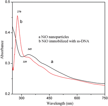 Nano-structured nickel oxide based DNA biosensor for detection of visceral  leishmaniasis (Kala-azar) - Analyst (RSC Publishing) DOI:10.1039/C1AN15031F