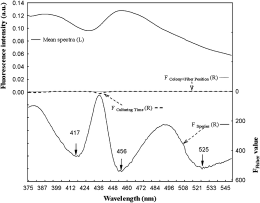 Search by ANOVA for areas of fluorescence spectra significantly influenced by the factors studied. Left scale: Mean spectra of NADH fluorescence spectra and right scale: F of Fisher value for the culture time, species and colony + fiber position factors.