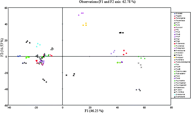 Discriminant analysis similarity map determined by discriminant factors 1 and 2 for the synchronous fluorescence (∆λ 30 nm) spectral data of Pseudomonas reference type strains.