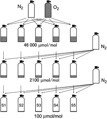 Preparation procedure for the 100 µmol per mol PSMs S1–S5. The oxygen gas was independently diluted by the nitrogen gas three times.