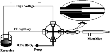 Schematic diagram of the CE-ICP-MS (not to scale).