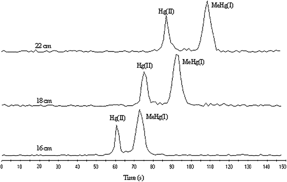 Short-column CE-ICP-MS electropherograms of Hg(ii) and MeHg(i) (0.5 mg L−1 each) under different capillary lengths. The other conditions are the same as Fig. 2.