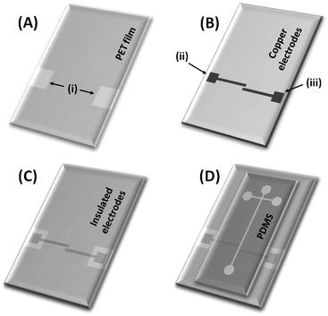 Scheme of the electrical insulation and integration of electrodes to the polymeric channels. (A) PET film with access holes (i) to electrical connections; (B) PCB substrate containing copper electrodes; (C) Cu-electrodes insulated by a PET film after heating (130 °C, 2 min); and (D) assembling of PDMS channels to insulated electrodes for C4D measurements. In (B), the labels (ii) and (iii) represents the electrodes for excitation and pickup the resulting signal, respectively.
