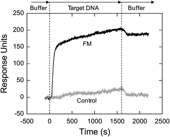Comparison of SPR response when running solutions of 1 µM non-complementary (control) and 1 µM complementary (FM) target DNA strands over the sensor surface. The SPR experiment was performed in 3× HB, using 100 µL min−1 flow rate at room temperature. Each sensorgram represents the average of three runs.