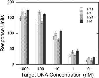 Refractive index change after hybridization of P11, P1, P21, and FM target DNA strands at different concentrations. The hybridization experiments were conducted in 3× HB, using 100 µL min−1 flow rate at room temperature. The differences in RU are statistically significant at all concentrations between the FM and P11 and FM and P21 target strands. Error bars represent the standard deviation between the sensorgrams obtained from the three sensing areas on the SPR module.