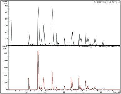 Representative chromatogram of green coffee extract of sample no. 33 (Tanzania Robusta): (a) TIC in negative ion mode and (b) UV-VIS chromatogram monitored at 320 nm.