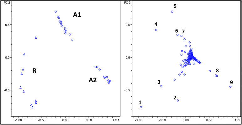 Score (left) and loading (right) plot of PCA analysis using regular bucketing, Robusta samples as triangles and Arabica samples as circles. Numbers in loading plot are assigned in Table 3.