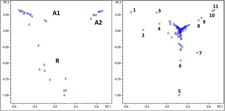 Score and loading plot of PCA analysis using molecular feature advanced bucketing, Robusta samples as triangles and Arabica samples as circles. Numbers in loading plot are assigned in Table 4.
