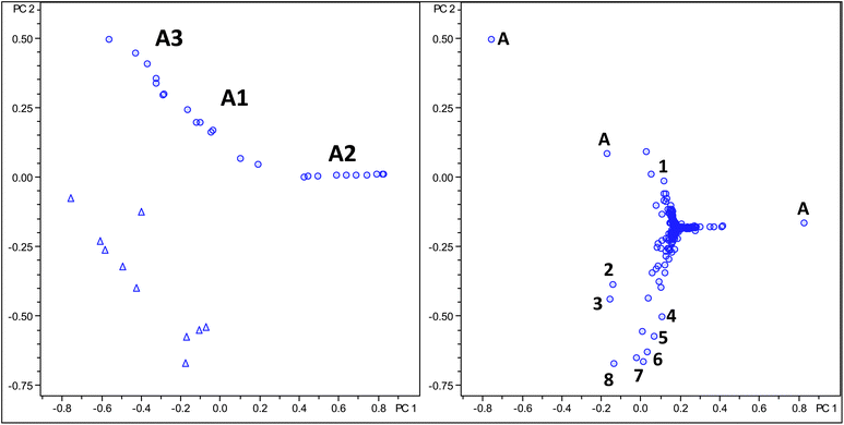 Score and loading plot of PCA analysis using molecular feature advanced bucketing of Arabica samples as circles and Robusta samples as triangles using a reduced m/z range window for diacyl chlorogenic acids only.