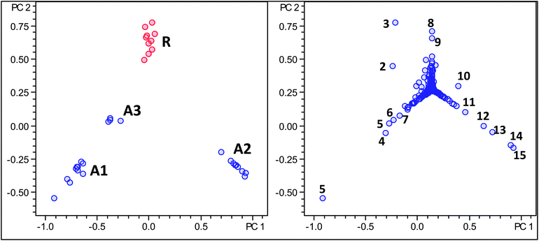Score and loading plot of PCA analysis using molecular feature advanced bucketing of Arabica samples in blue and Robusta samples in red using a reduced m/z range window for minor metabolites (m/z 370–500 and 600–700) only.