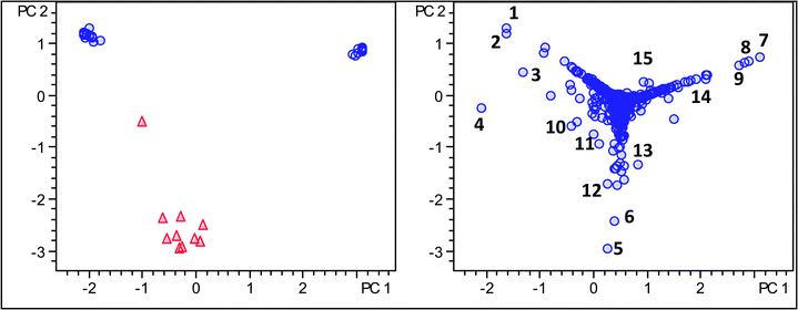 Score and loading plot of PCA analysis using molecular feature advanced bucketing, Robusta samples as triangles and Arabica samples as circles using Pareto scaling.