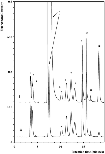 Separation of ten AA-monosaccharide derivatives before (i) and after (ii) diethyl ether extraction of excess AA. The chromatographic conditions and peak assignment are as described in Fig. 1.