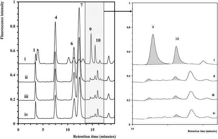 
              Chromatograms of selected yeastolate samples (ii–iv) overlaid with a chromatogram of a monosaccharide standard (i). The chromatographic conditions and peak assignment are as described in Fig. 1. Inset shows expanded region (14–17 min).