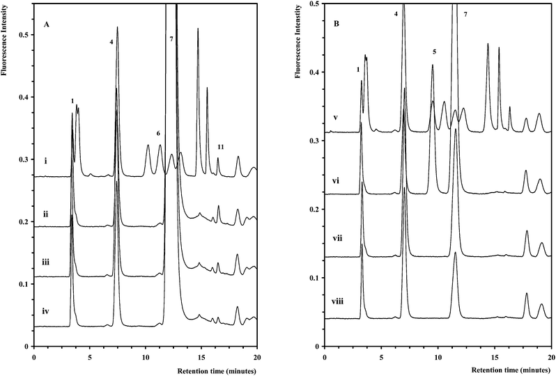 (A) Chromatograms for selected basal media samples diluted 1/5 (ii–iv) overlaid with a standard (i). (B) Chromatograms for selected basal media samples diluted 1/400 (vi–viii) overlaid with a standard (v). The chromatographic conditions and peak assignment are as described in Fig. 1.