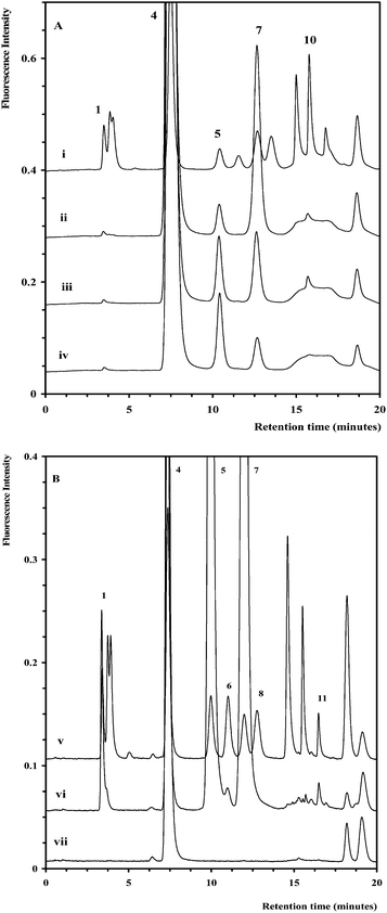 (A) Chromatograms for selected in-process samples diluted 1/100 (ii–iv) overlaid with a standard (i). (B) Chromatogram for selected in-process sample diluted 1/5 (vi) overlaid with a standard (v) and blank (vii). The chromatographic conditions and peak assignment are as described in Fig. 1.