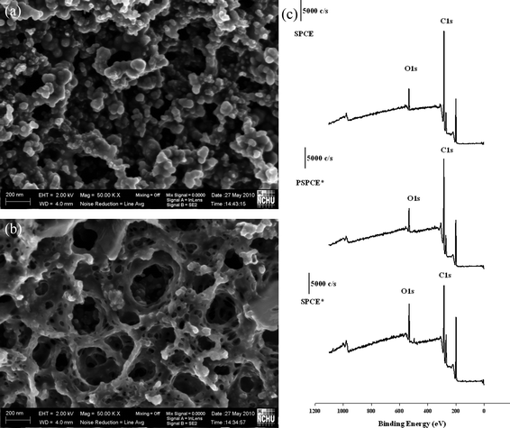 
            SEM graphs of PSPCE* (A) and SPCE* (B) and ESCA graph (C) of SPCE, PSPCE* and SPCE*.