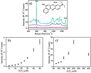 a) SERS spectra of GNSs produced by different concentrations of H2O2: 25 μM; 50 μM; 150 μM and 250 μM from bottom upwards. b) and c): Plot of the SERS intensity of Nile blue A sulfate (NBA) against the concentration of H2O2. Each spectrum was averaged from 5 measurements. The samples were excited with a 785 nm laser and with 10 s exposure time. The concentration of the Raman probe molecule, NBA, was 5 μM.