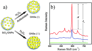 a) Schematic diagram of the methodology for detecting H2O2 scavenging activity: GNSs produced with [GNSs (I)] or without antioxidant [GNSs (II)]. b) SERS spectra of the Raman probe molecule by applying different substrates: SiO2/GNPs, GNSs (I) and GNSs (II) from bottom upwards.