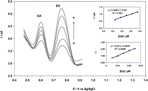 Differential pulse voltammograms of CNT/CPE in 0.2 M B–R buffer solution (pH = 2.0) containing different concentrations of EA and GA (from inner to outer): 5.00, 7.50, 15.0, 20.0 and 25.0 nM EA, and 2.50, 3.75, 5.00, 6.25 and 7.50 μM GA; insets: Plot of peak current as a function of EA concentration in the linear range of 5.00–25.0 nM EA and peak current as a function of GA concentration in the linear range of 2.5–7.5 μM of GA.