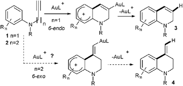 
          Au-mediated synthetic approaches to hydroquinolines.