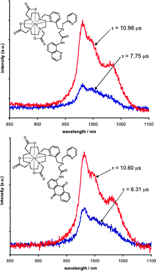 Near-IR steady state emission spectra for 2.5 × 10−4 M Yb–Laa (top) and Yb–Lb (bottom) in the absence (blue) and presence (red) of 10 eq. Hg(ClO4)2. (D2O, HEPES, pH 7.4) using λex = 400 nm. The spectra are annotated with the corresponding luminescence lifetimes.
