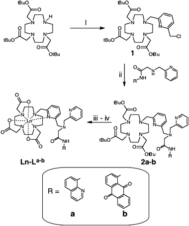 Synthetic pathway to the ligands and complexes. Reagents and conditions: (i) 1.1 eq. 2,6-bis(chloromethyl)pyridine, MeCN, NaHCO3, Δ; (ii) 1 eq. a or b, MeCN, NaHCO3, KI, Δ; (iii) CF3CO2H, CH2Cl2; and (iv) Ln(OTf)3, MeOH, Δ.